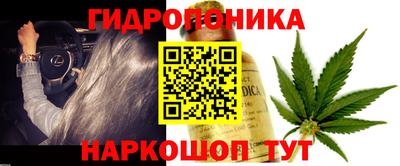 тгк Тулун