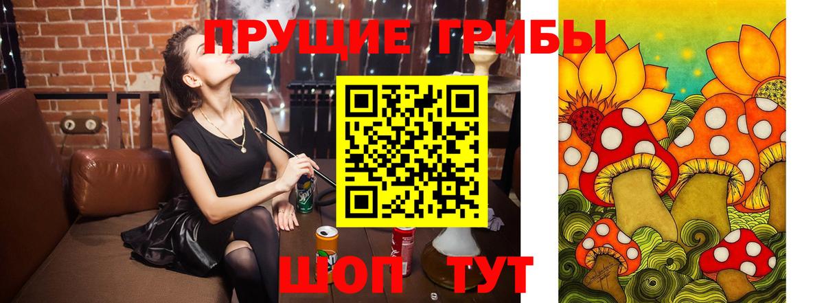 Канск  Псилоцибиновые грибы Psilocybe  Вход с VPN 